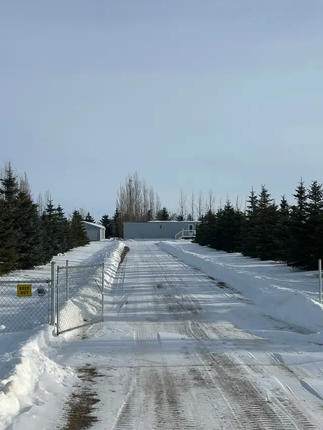 Corman Park Acreage - Photo 6