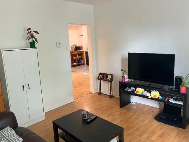 4 1/2 upper duplex for rent July 1st - Photo 6
