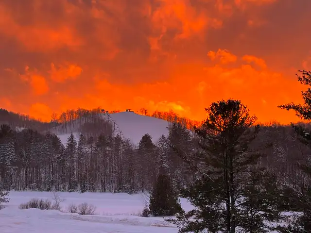 Beautiful 2 bedroom condo in Horseshoe Valley