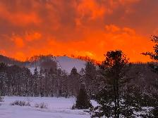 Beautiful 2 bedroom condo in Horseshoe Valley