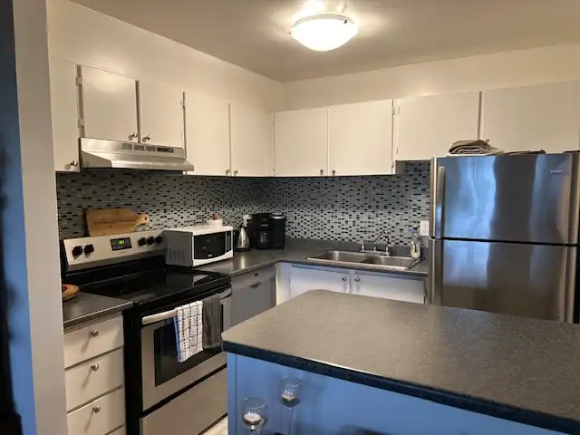 Stunning South West Facing  Corner Suite! - Photo 4