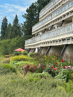 Stunning South West Facing  Corner Suite! - Photo 9