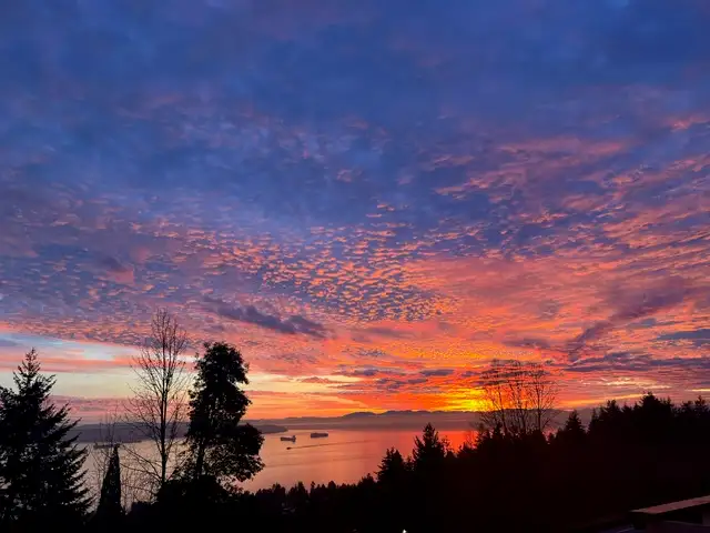 Stunning South West Facing  Corner Suite! - Photo 11