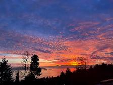 Stunning South West Facing  Corner Suite! - Photo 11