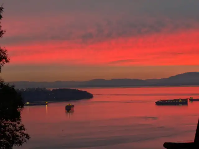 Stunning South West Facing  Corner Suite! - Photo 12