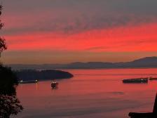 Stunning South West Facing  Corner Suite! - Photo 12