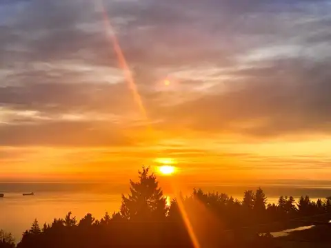 Stunning South West Facing  Corner Suite! - Photo 13