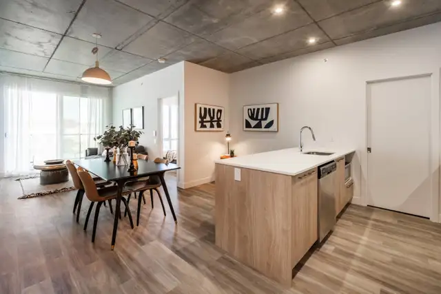 MÉNAGE RÉGULIER COMPLET Rive-Nord/Laval MAISON-APPARTEMENT-CONDO - Photo 6