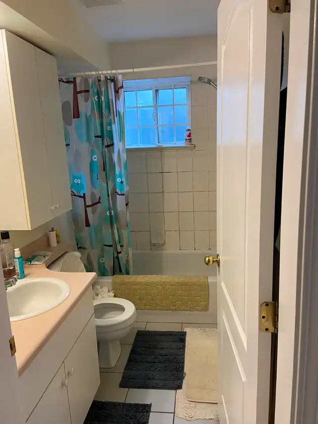 LOOKING FOR 1 PERSON TO SHARE 1 BDRM IN A 3 Bdrm BSMT SUITE  VE - Photo 8