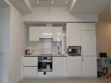 SUB-PENTHOUSECONDO IN DOWNTOWN TORONTO - Photo 2