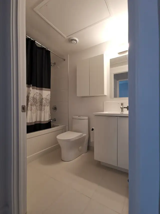 SUB-PENTHOUSECONDO IN DOWNTOWN TORONTO - Photo 5