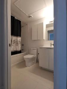 SUB-PENTHOUSECONDO IN DOWNTOWN TORONTO - Photo 5