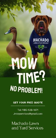 Fresh SOD For Pick Up Hamilton (Please read entirety of ad.)