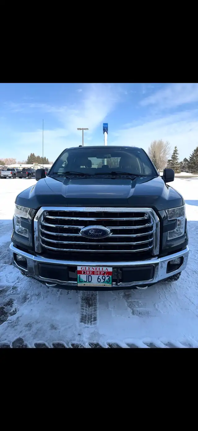 2016 ford f150 xlt 5.0L V8 - Photo 6