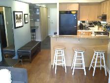Furnished 1BR Condo   XL Terrace | All Incl | King St E - Photo 5