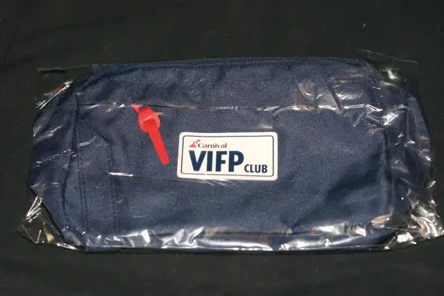 CARNIVAL CRUISE LINE LUGGAGE TAGS, PINS, GIFTS, COLLECTIBLES - Photo 4