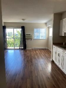 55  Seniors Studio Apartment in secure building