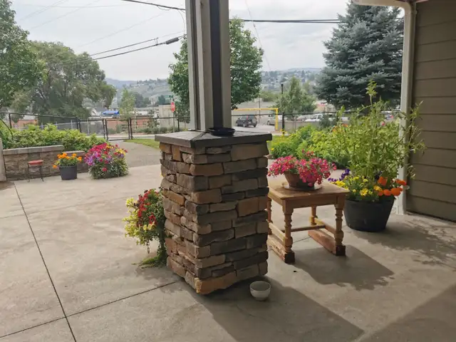 55  Seniors Studio Apartment in secure building - Photo 3