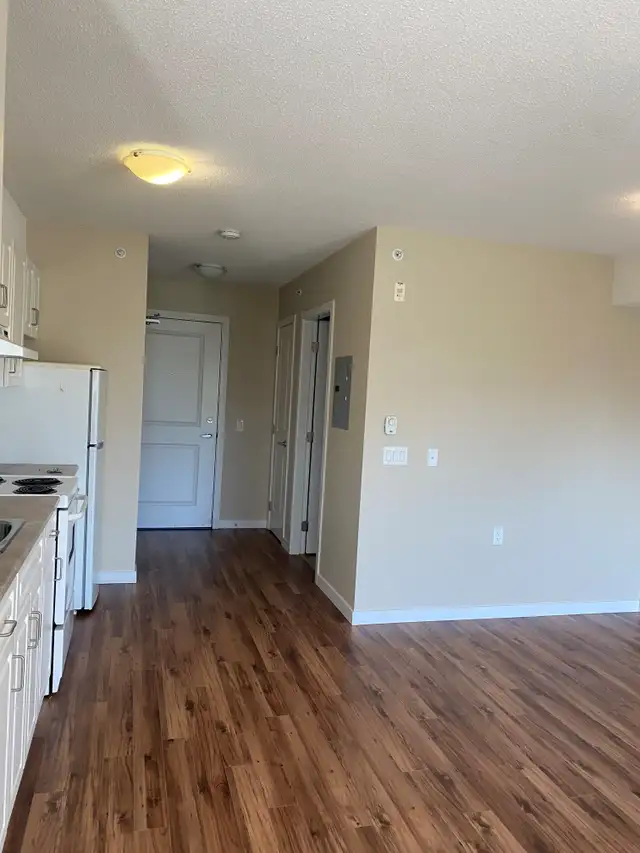 55  Seniors Studio Apartment in secure building - Photo 4