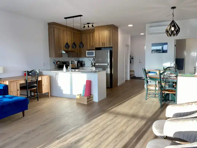 Superbe 5 1/2 adossé à un champ 5 mins des services St-Hyacinthe - Photo 10