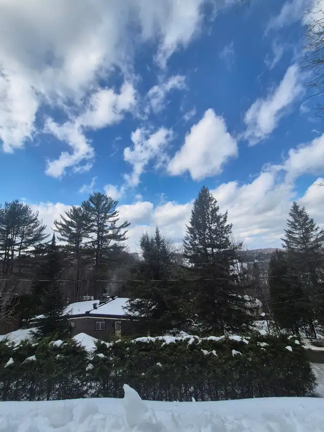 Magnifique maison entièrement rénovée à Sainte‑Adèle - Photo 5