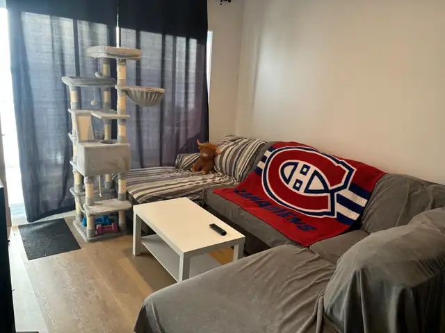 4 1/2 Secteur paisible à 5 mins des services St-Hyacinthe - Photo 7