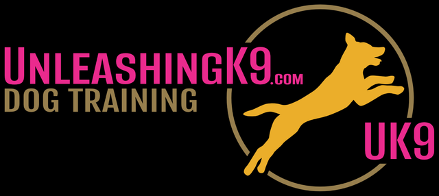 6 Week Board and Train - Spring Offer - Photo 6