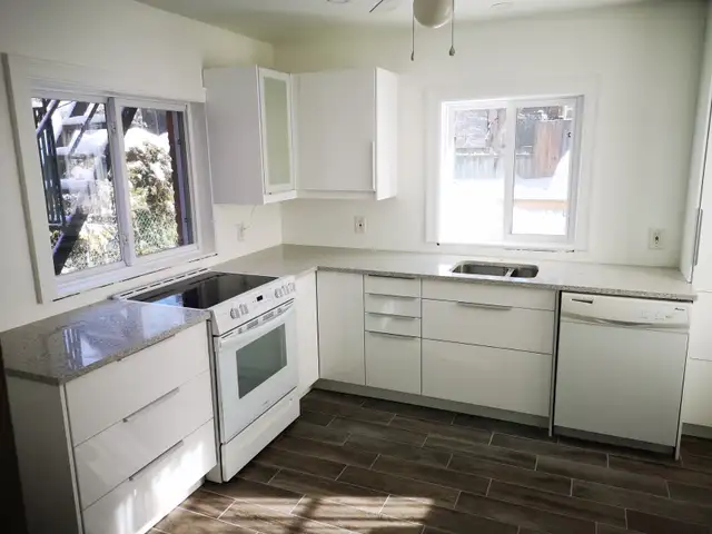 1 bedroom Glebe apartment - June 1 - Photo 6