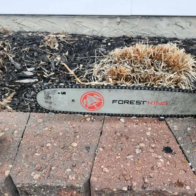 stihl chainsaw - Photo 6