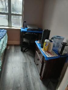 ROOM RENT IN MISSISSAUGA SQ1 FOR SINGLE PROFESSIONAL - Photo 2