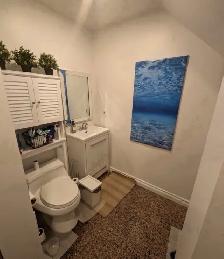 walkout Basement, Yonge &Finch private room - Photo 6