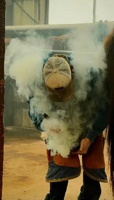 Farrier & Horse Training Services Available