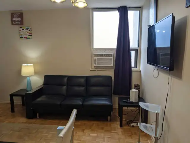 Furnished bachelor studio, Eglinton Station, May 1 - Photo 6
