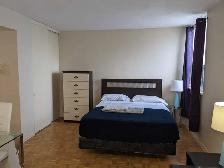 Furnished bachelor studio, Eglinton Station, May 1 - Photo 8