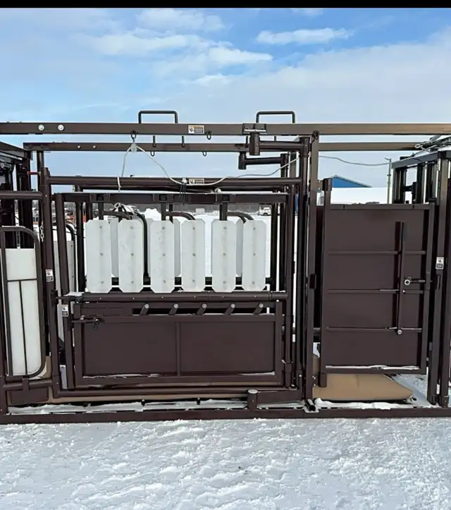 Cattle Squeeze - Photo 2