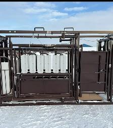 Cattle Squeeze - Photo 2