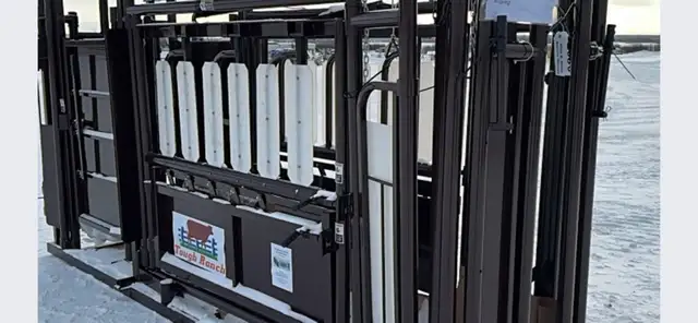 Cattle Squeeze - Photo 3