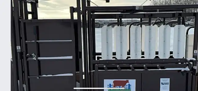 Cattle Squeeze - Photo 4