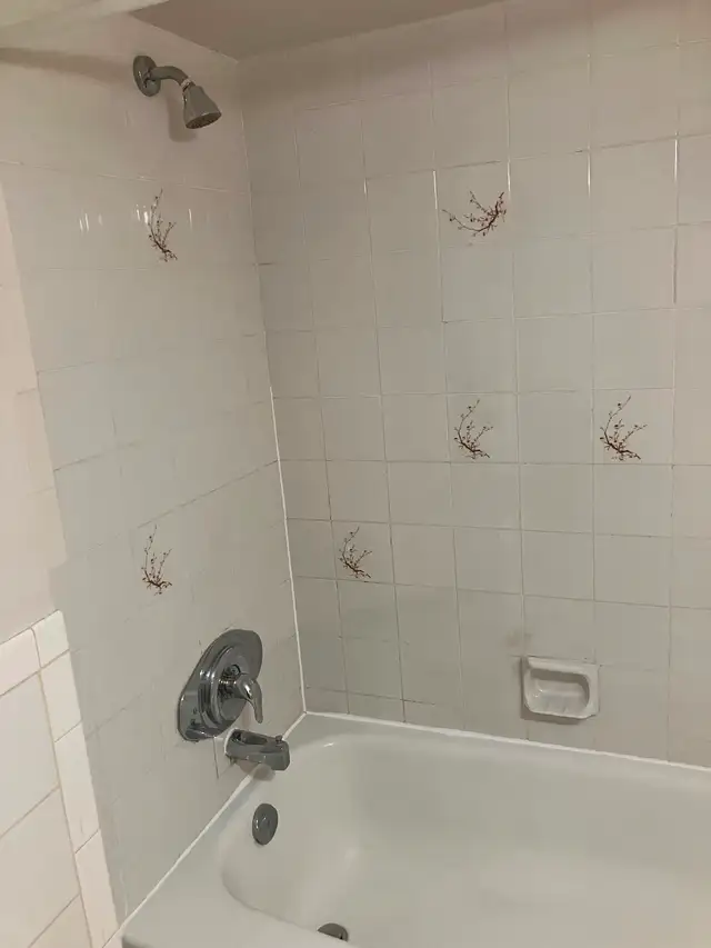 1 Bdrm Apartment Lower Level - Photo 4