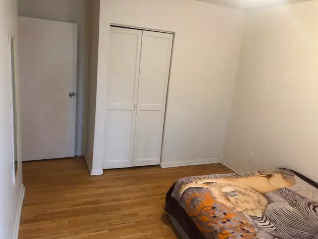 LARGE ROOM MAIN FL-50m TO PLAZA STEELES/BATHURST NORTH YORK - Photo 2