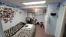 1 ROOM for RENT All Girls House -Near McMaster ($750 All INCL) - Photo 4