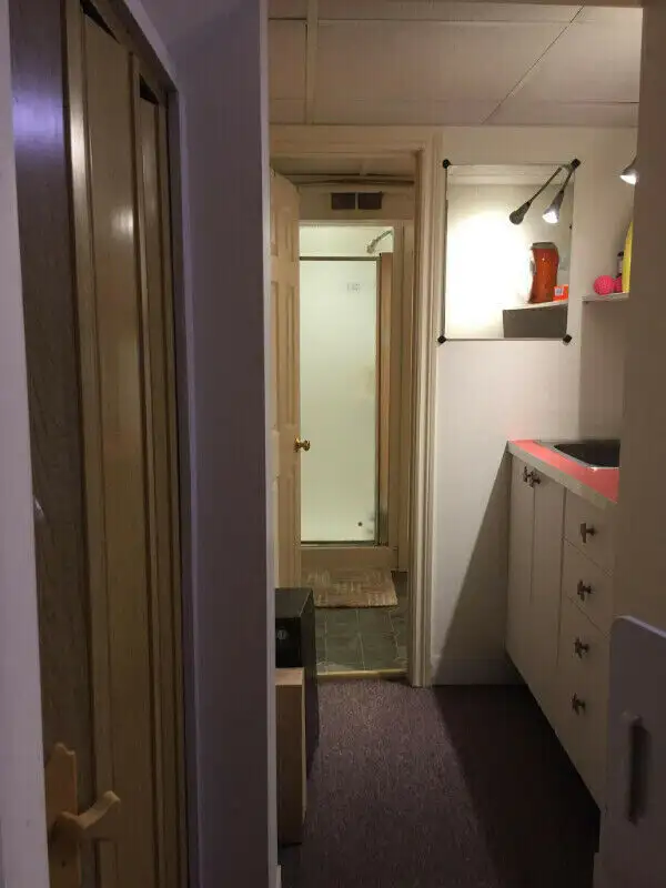 1 ROOM for RENT All Girls House -Near McMaster ($750 All INCL) - Photo 7