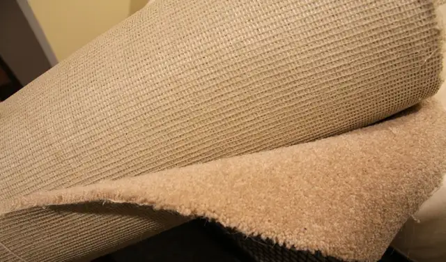 Carpet - section of