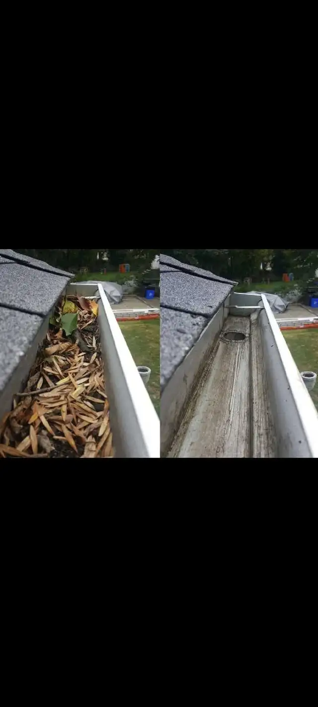 Gutter Cleaning