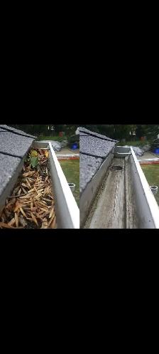 Gutter Cleaning