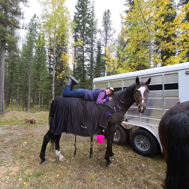 Horse for sale - Photo 4