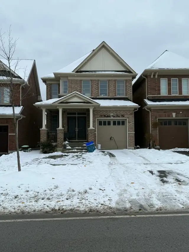 one bedroom basement apt with sept entrance north Oshawa