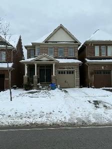 one bedroom basement apt with sept entrance north Oshawa
