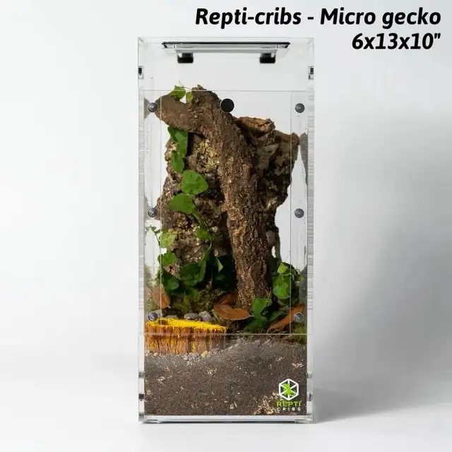 NEW  TARANTULA CRIBS