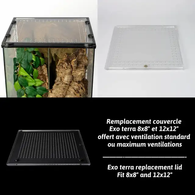 NEW  TARANTULA CRIBS - Photo 5